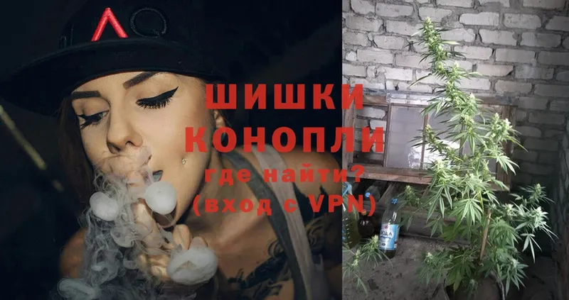 Бошки марихуана Ganja  Новоалександровск 